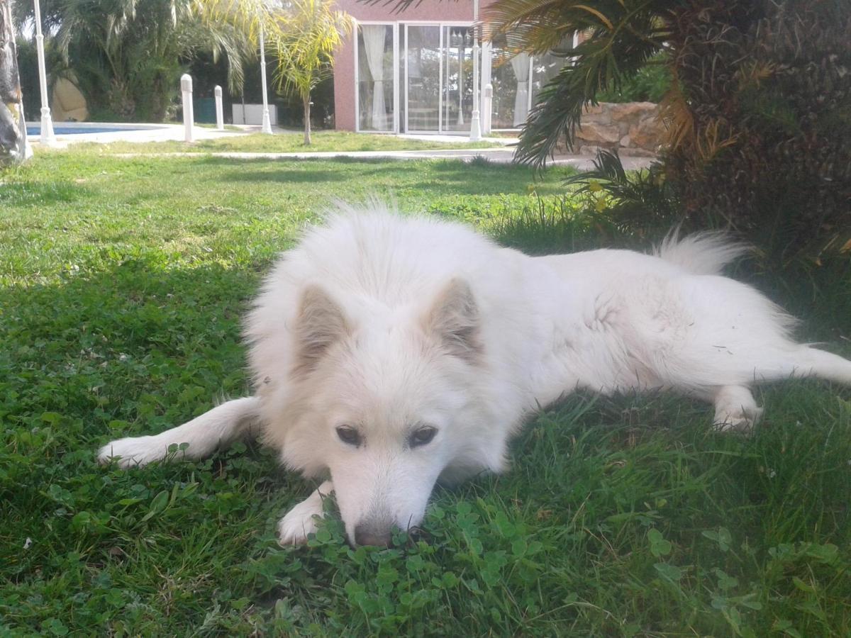 Los Jardines De Lola Daimes Bagian luar foto