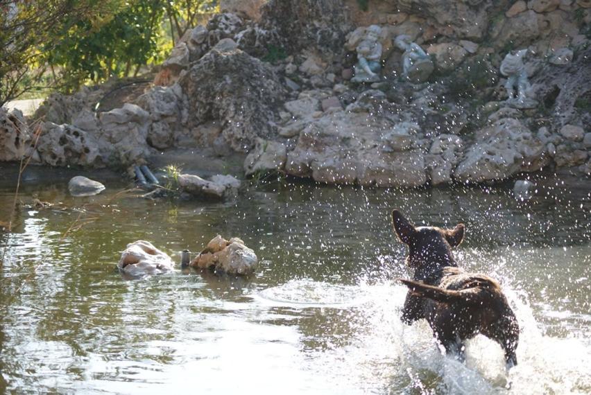 Los Jardines De Lola Daimes Bagian luar foto