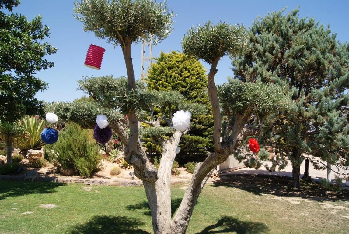 Los Jardines De Lola Daimes Bagian luar foto
