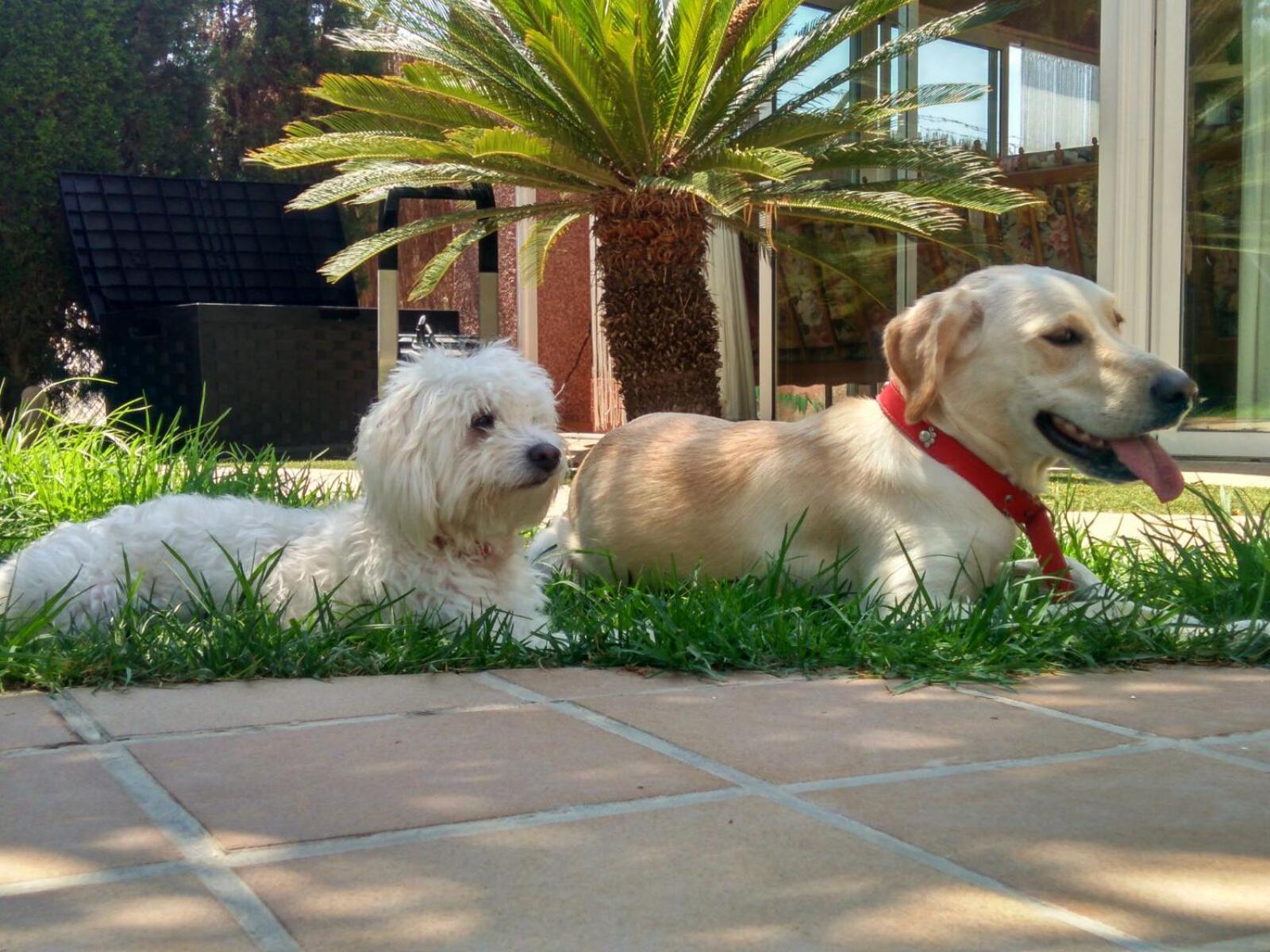 Los Jardines De Lola Daimes Bagian luar foto