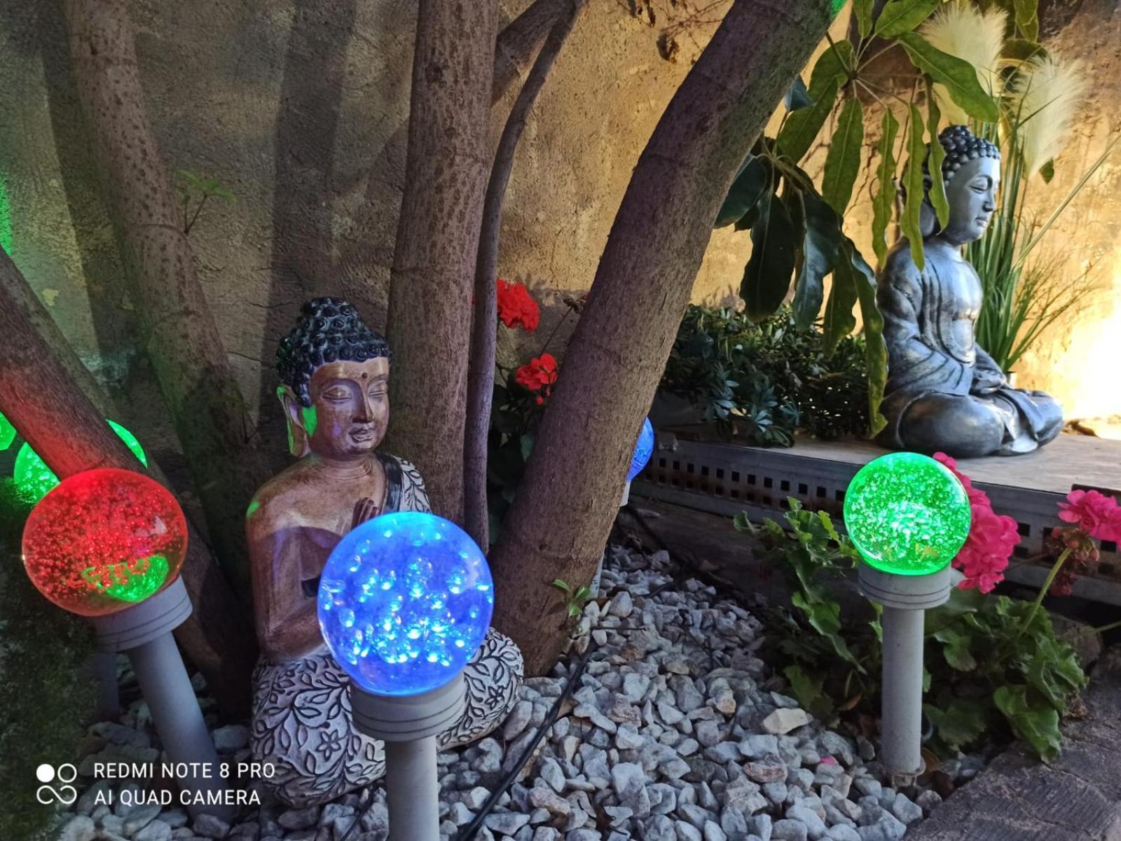 Los Jardines De Lola Daimes Bagian luar foto